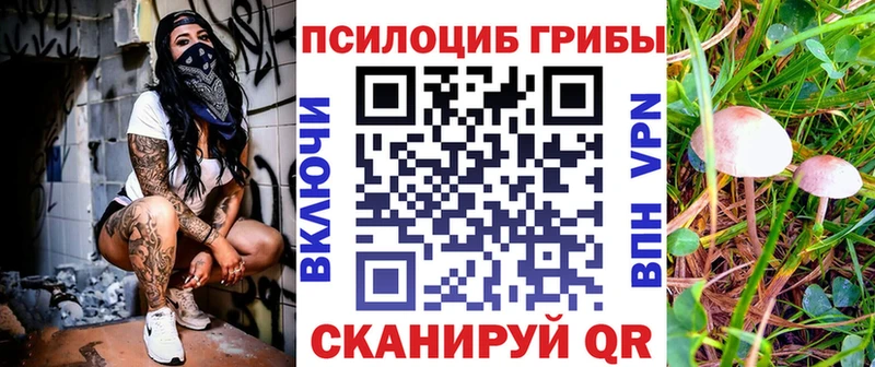 Псилоцибиновые грибы Magic Shrooms  Сорочинск 